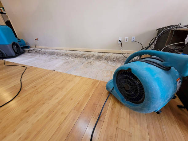 Professional Burst Pipe Water Damage technician working in Coolidge, TX